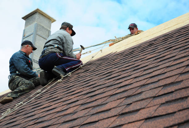 Best Roof Gutter Cleaning  in Vian, OK