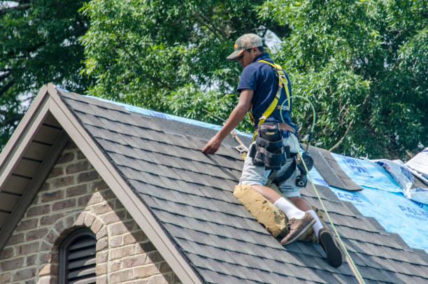 Best Roof Leak Repair  in Vian, OK